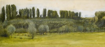 Landskap med pilar och poppel, studie av Edward Burne Jones