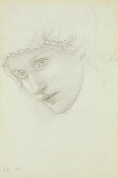Studie für den Kopf einer Meerjungfrau, 1885 von Edward Burne Jones
