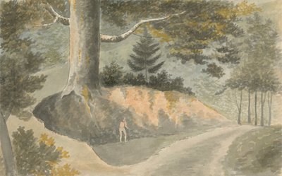 Vägen i skogen av Edward Francis Burney