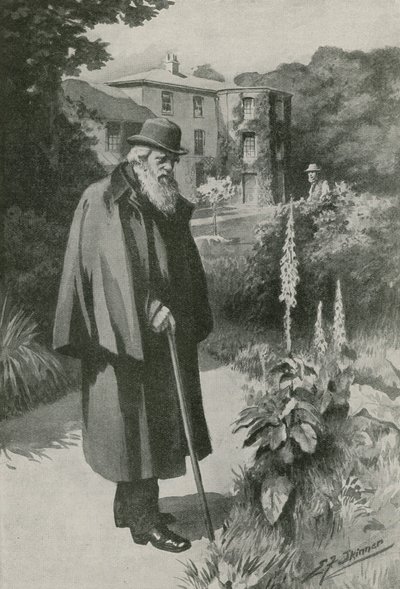 Charles Darwin i sin trädgård vid Down House (litografi) av Edward Frederick Skinner
