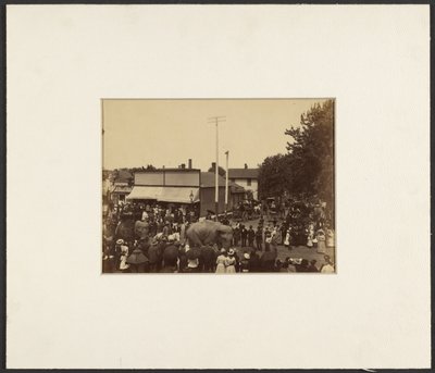 [Elefanter går genom staden, Maple City] av Edward H. Hart