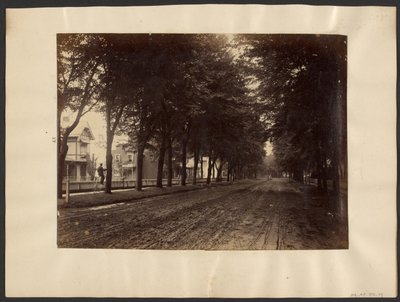 [Trädkantad gata] av Edward H. Hart