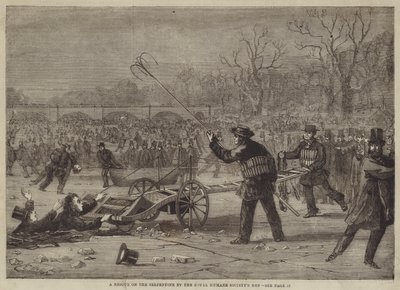 A Rescue on the Serpentine av Royal Humane Society