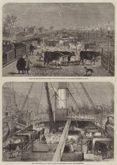 Nötkreatur för julmarknaden av Edward Hull