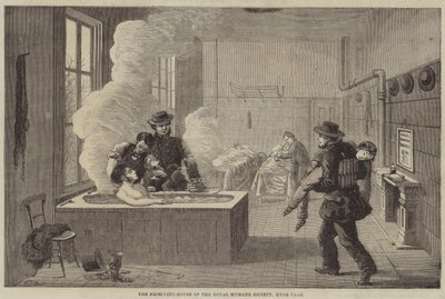 The Receiving-House of the Royal Humane Society, Hyde Park av Edward Hull