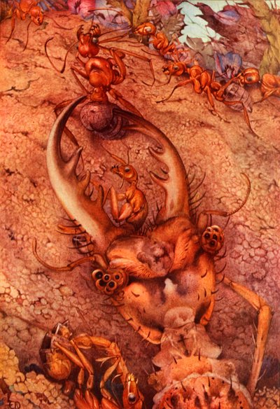 Myrlejonet, 1914. DELETE - konstnär med copyright av Edward Julius Detmold