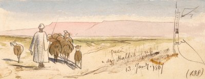 Ett torrt Halfeh-gräs av Edward Lear