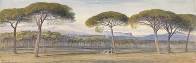 Utsikt över tallskogen ovanför Cannes av Edward Lear