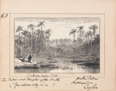 Areca Palms, Ratnapura, Ceylon - "Jag kommer att se innan jag dör Söderns palmer och tempel" av Edward Lear