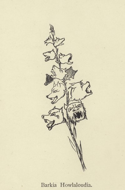 Barkia Howlaloudia av Edward Lear