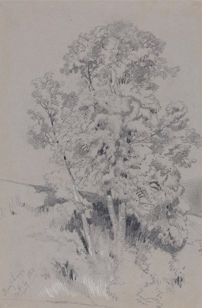 Burpham, den 4 oktober 1834 av Edward Lear
