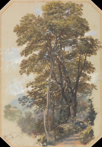 Stenbrottskåren, 28 juni 1838 av Edward Lear