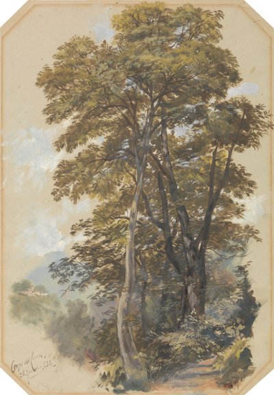 Corpo di Cava, den 28 juni 1838 av Edward Lear