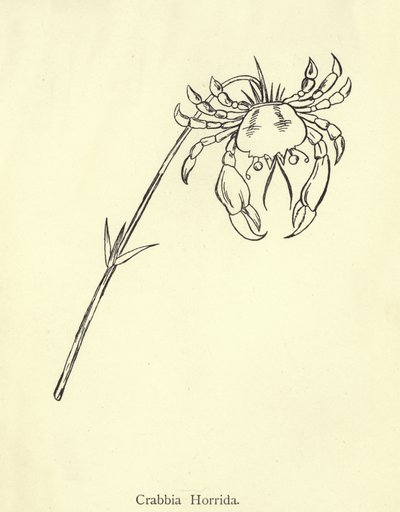 Crabbia Horrida av Edward Lear