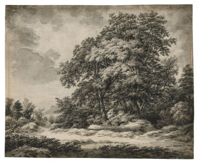 Skogslandskap av Edward Lear