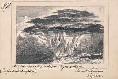 Illustration till Tennysons ”The Gardener’s Daughter”: Libanonberget, Syrien – ”En ceder spred sina mörkgröna skugglager” av Edward Lear