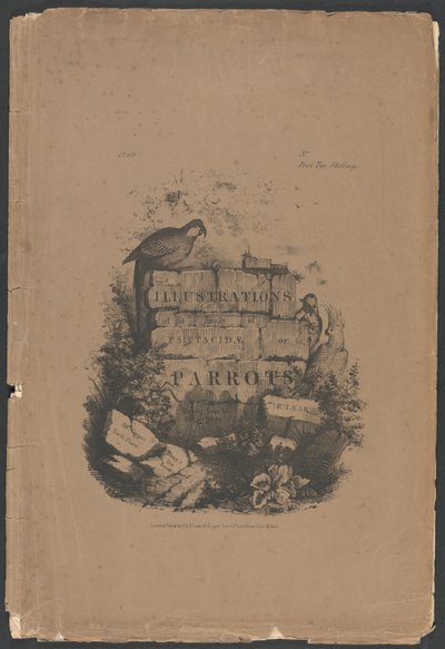 Illustrationer av familjen Psittacidae, eller papegojor, del 1: Folioomslag, titelsida, dedikationssida, prenumerantsida av Edward Lear