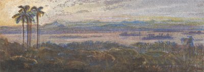 Indian River Landscape av Edward Lear
