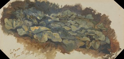 Stenbrottet av Edward Lear