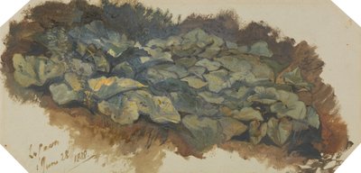 La Cava av Edward Lear