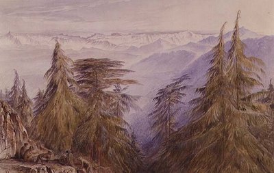 Apor på en klippa nära Simla, norra Indien av Edward Lear