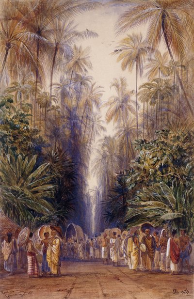 På väg till Galle, Ceylon av Edward Lear