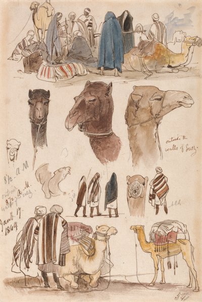 Utanför Suez murar, kl. 08.30 den 17 januari 1849 (54) av Edward Lear