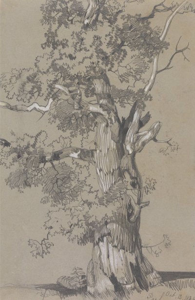 Parham, 13 oktober 1834 av Edward Lear