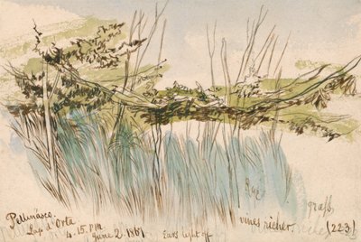 Pettenasco, Ortasjön av Edward Lear