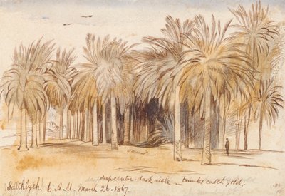 Salahiyeh av Edward Lear
