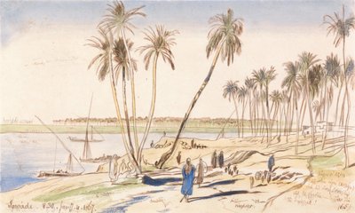 Sowadi, kl. 08.30, 4 januari 1867 (65) av Edward Lear