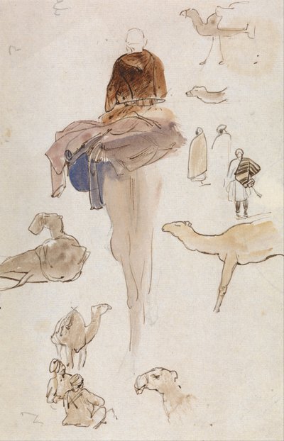 Studier av kameler av Edward Lear