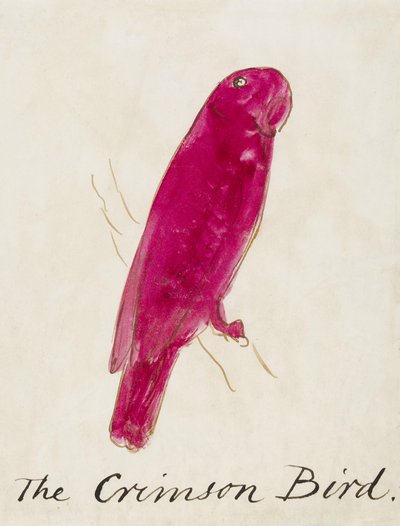 The Crimson Bird, från sexton teckningar av komiska fåglar (penna och bläck wc på papper) av Edward Lear