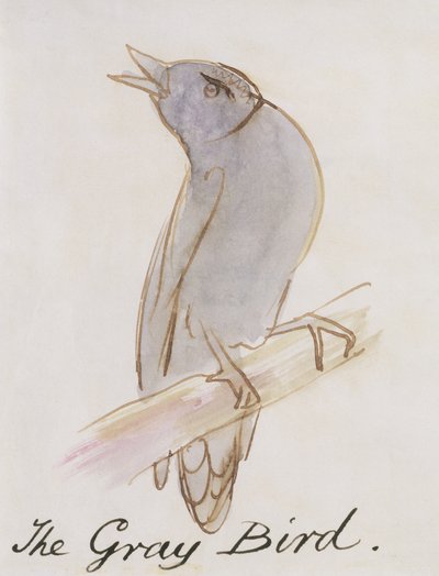 The Grey Bird, från "Sexton teckningar av komiska fåglar" (penna och bläck och wc på papper) av Edward Lear