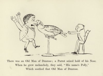 Det fanns en gammal man i Dunrose; en papegoja tog tag i hans näsa. av Edward Lear