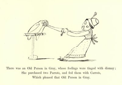 Det fanns en gammal person i grått, vars känslor var färgade av bestörtning av Edward Lear