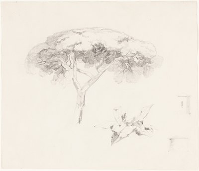 Paraplytall och andra studier av Edward Lear