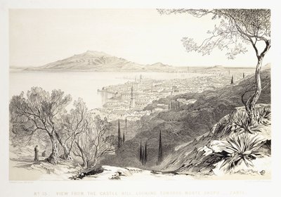 Utsikt från slottskullen, blick mot Monte Skopo, Zante, 1863 av Edward Lear