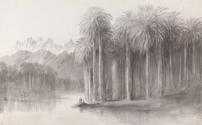 Wady Feiran, Sinaibergets halvö av Edward Lear