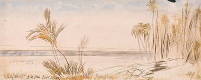 Nackdelar med Halfeh av Edward Lear