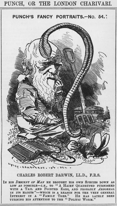 Charles Darwin, Punchs snygga porträtt, nr 54, illustration från 
