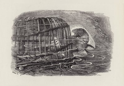 Illustration för The Water-Babies av Charles Kingsley (gravyr) av Edward Linley (after) Sambourne