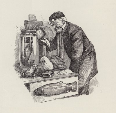 Illustration för The Water-Babies av Charles Kingsley (gravyr) av Edward Linley (after) Sambourne
