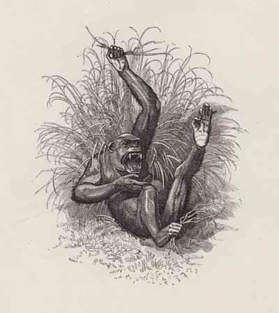 Illustration för The Water-Babies av Charles Kingsley (gravyr) av Edward Linley (after) Sambourne