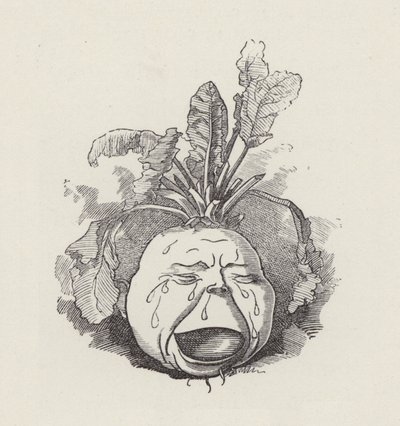 Illustration för The Water-Babies av Charles Kingsley (gravyr) av Edward Linley (after) Sambourne