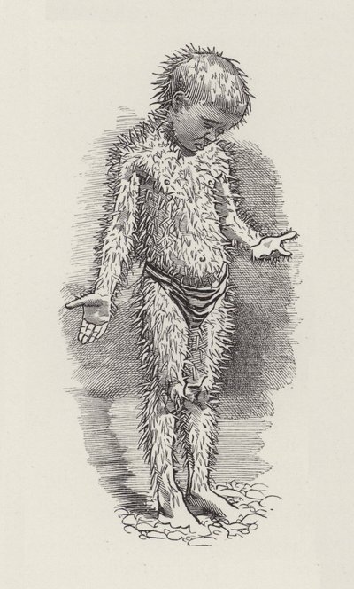 Illustration för The Water-Babies av Charles Kingsley (gravyr) av Edward Linley (after) Sambourne
