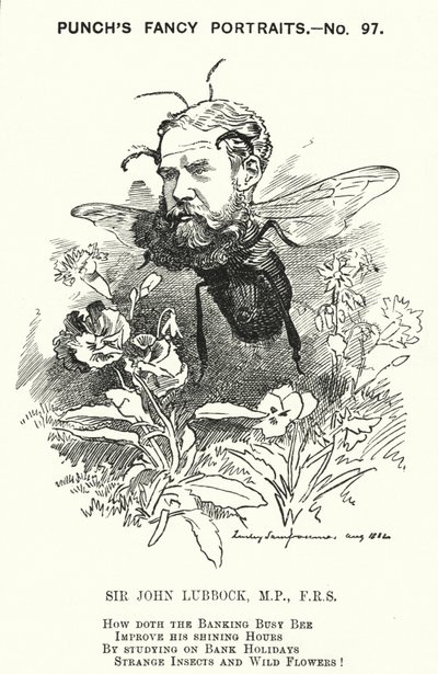 Punch tecknad: John Lubbock av Edward Linley (after) Sambourne