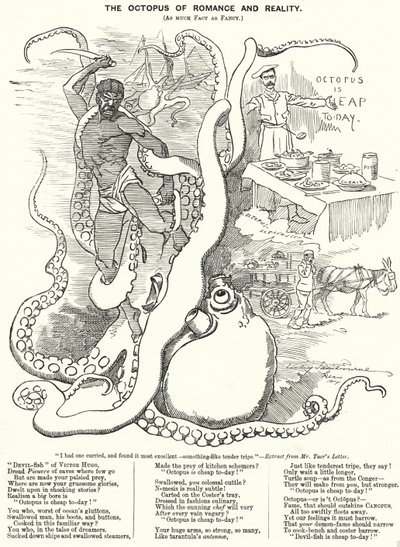 Punch tecknad: The Octopus of Romance and Reality (gravyr) av Edward Linley (after) Sambourne