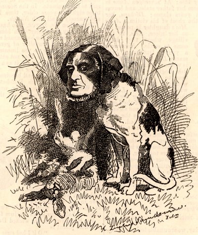 William GGV Vernon Harcourt (1827-1904) av Edward Linley Sambourne