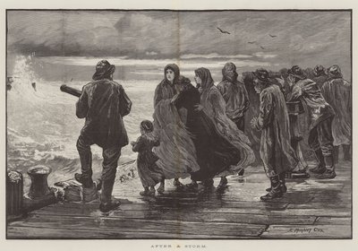 Efter en storm av Edward Morant Cox